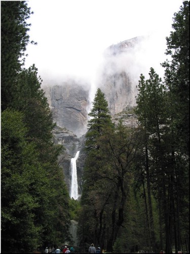 116-1690_IMG.JPG