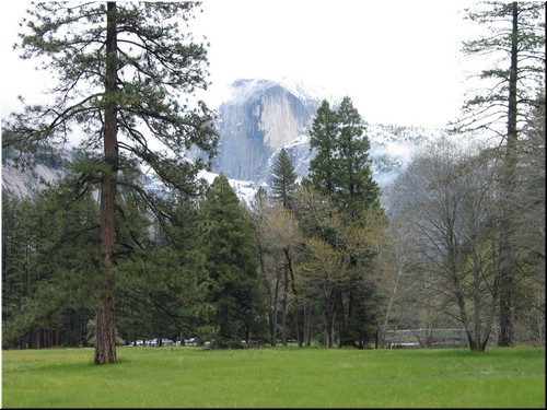 117-1705_IMG.JPG