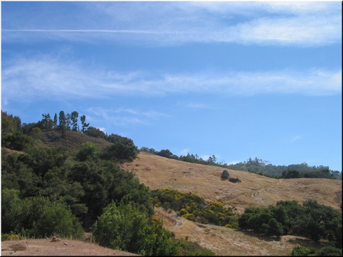 Coast 003.jpg