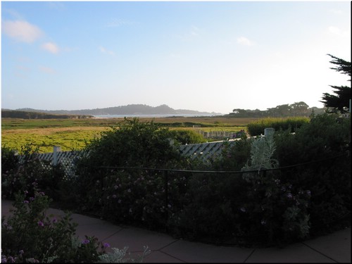 Coast 074.jpg
