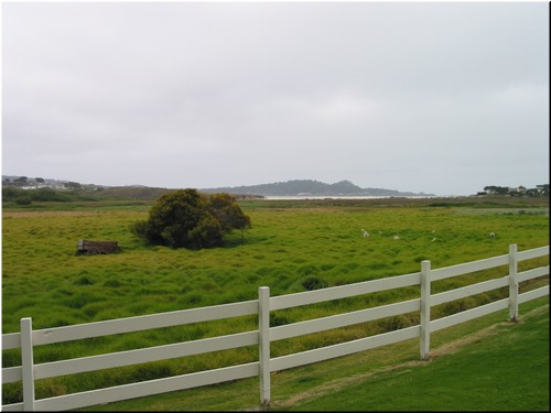 Coast 082.jpg