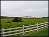 Coast 082.jpg